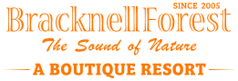 Bracknell Forest Boutique Resort