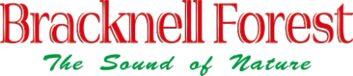 Bracknell Forest